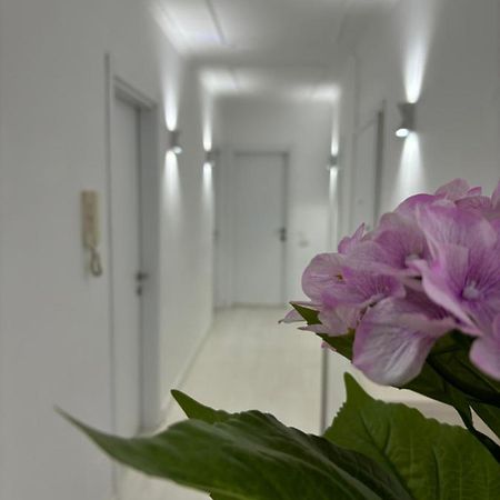 Center, Selvia White Apartment Tirana Exterior foto